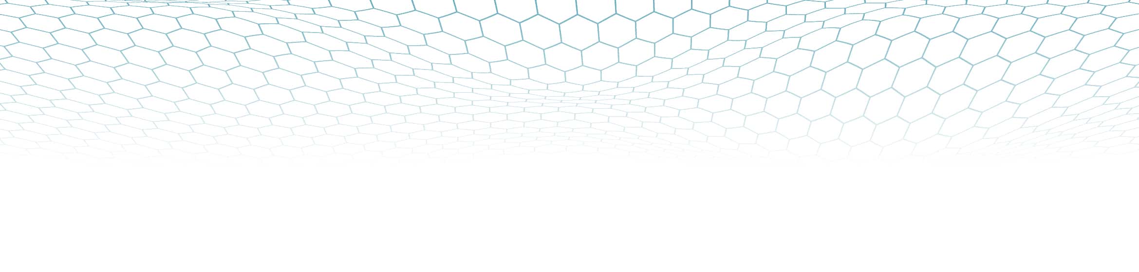 Hexagon banner-01