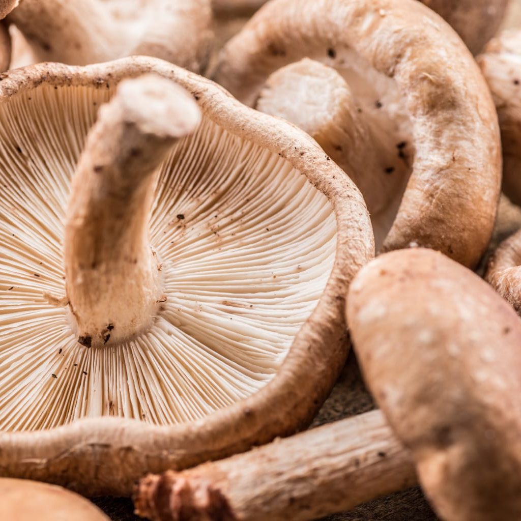 mushrooms