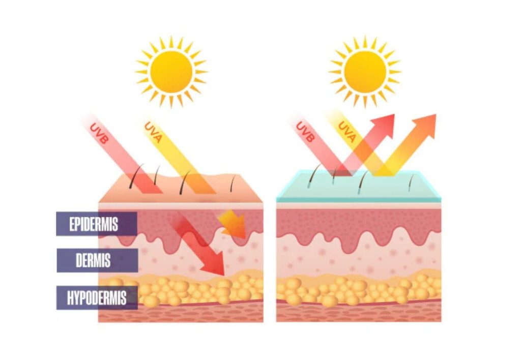 UVA UVB graphic spf